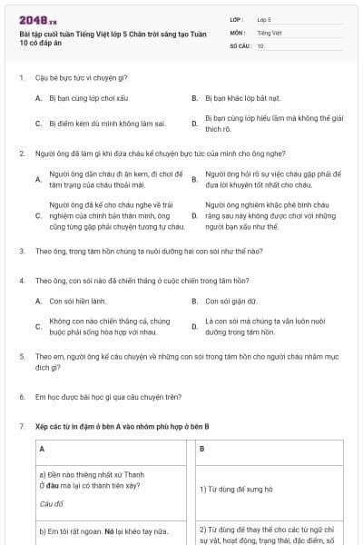 Bài tập cuối tuần Tiếng Việt lớp 5 Chân trời sáng tạo Tuần 10 có đáp án