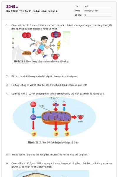 Giải SGK KHTN 7 Bài 21: hô hấp tế bào có đáp án