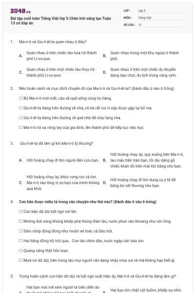 Bài tập cuối tuần Tiếng Việt lớp 5 Chân trời sáng tạo Tuần 13 có đáp án