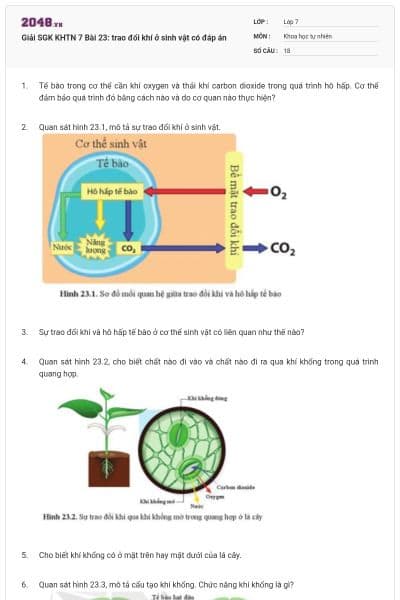Giải SGK KHTN 7 Bài 23: trao đổi khí ở sinh vật có đáp án
