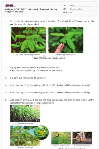 Giải SGK KHTN 7 Bài 27: khái quát về cảm ứng và cảm ứng ở thực vật có đáp án
