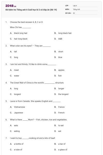 Đề kiểm tra Tiếng anh 6 Cuối học kì 2 có đáp án (Đề 14)