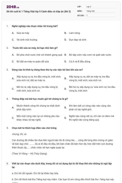 Đề thi cuối kì 1 Tiếng Việt lớp 5 Cánh diều có đáp án (Đề 3)