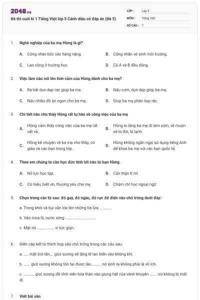 Đề thi cuối kì 1 Tiếng Việt lớp 5 Cánh diều có đáp án (Đề 5)