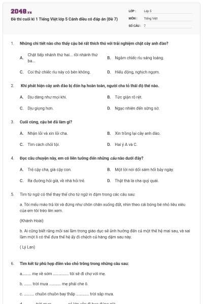 Đề thi cuối kì 1 Tiếng Việt lớp 5 Cánh diều có đáp án (Đề 7)