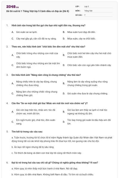 Đề thi cuối kì 1 Tiếng Việt lớp 5 Cánh diều có đáp án (Đề 8)