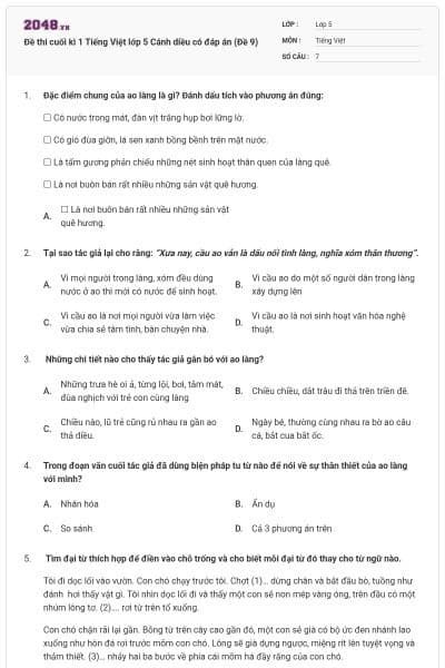 Đề thi cuối kì 1 Tiếng Việt lớp 5 Cánh diều có đáp án (Đề 9)