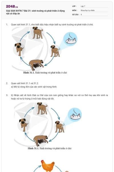 Giải SGK KHTN 7 Bài 31: sinh trưởng và phát triển ở động vật có đáp án