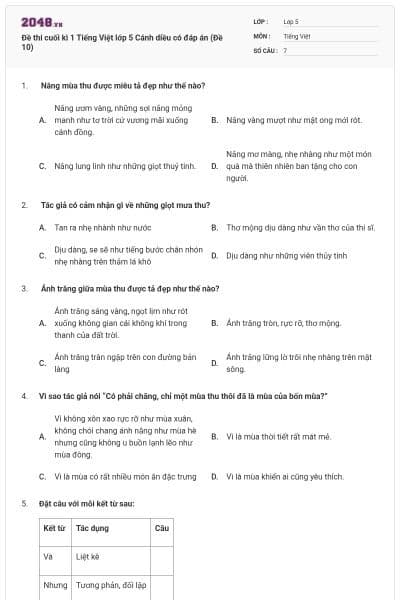 Đề thi cuối kì 1 Tiếng Việt lớp 5 Cánh diều có đáp án (Đề 10)