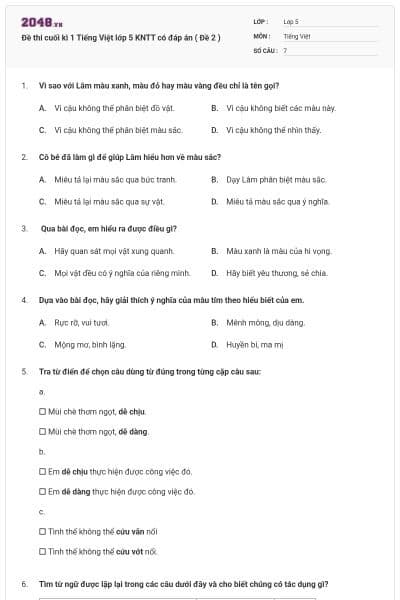 Đề thi cuối kì 1 Tiếng Việt lớp 5 KNTT có đáp án ( Đề 2 )