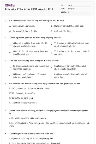 Đề thi cuối kì 1 Tiếng Việt lớp 5 CTST có đáp án ( Đề 10)