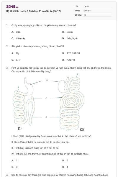 Bộ 20 đề thi Học kì 1 Sinh học 11 có đáp án (đề 17)