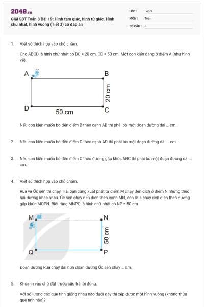Giải SBT Toán 3 Bài 19: Hình tam giác, hình tứ giác. Hình chữ nhật, hình vuông (Tiết 3) có đáp án