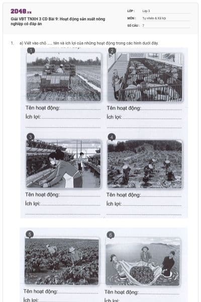 Giải VBT TNXH 3 CD Bài 9: Hoạt động sản xuất nông nghiệp có đáp án