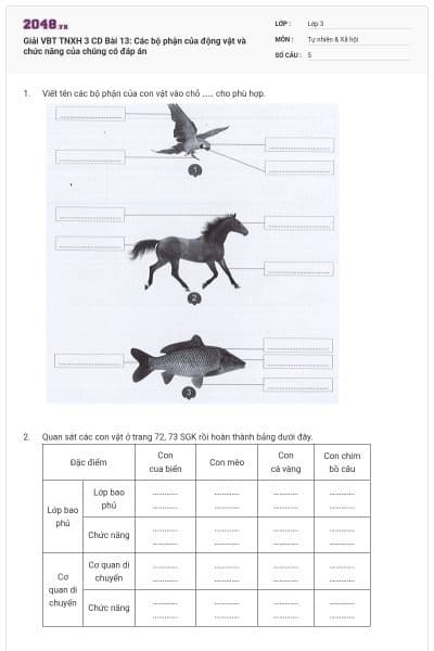 Giải VBT TNXH 3 CD Bài 13: Các bộ phận của động vật và chức năng của chúng có đáp án