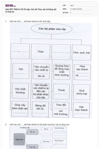 Giải VBT TNXH 3 CD Ôn tập: Chủ đề Thực vật và Động vật có đáp án