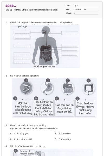 Giải VBT TNXH 3 CD Bài 15: Cơ quan tiêu hóa có đáp án
