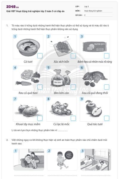 Giải VBT Hoạt động trải nghiệm lớp 3 tuần 5 có đáp án