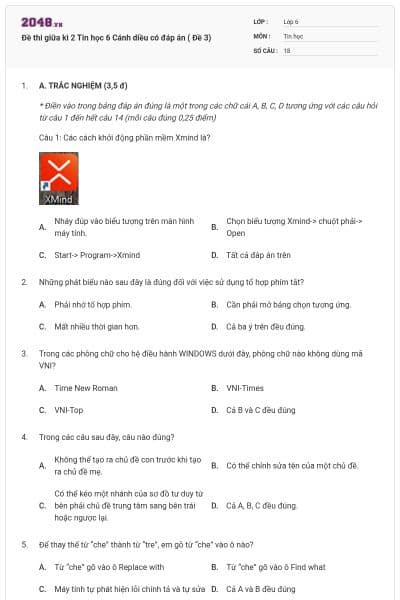 Đề thi giữa kì 2 Tin học 6 Cánh diều có đáp án ( Đề 3)