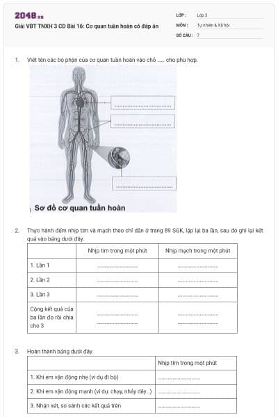 Giải VBT TNXH 3 CD Bài 16: Cơ quan tuần hoàn có đáp án