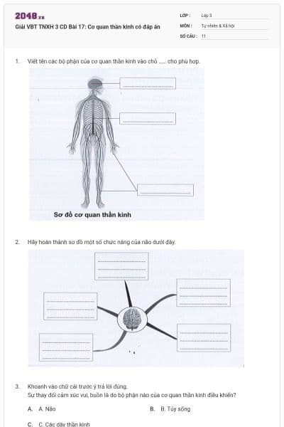 Giải VBT TNXH 3 CD Bài 17: Cơ quan thần kinh có đáp án