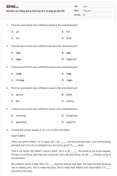 Đề kiểm tra Tiếng anh 6 Cuối học kì 2 có đáp án (Đề 29)
