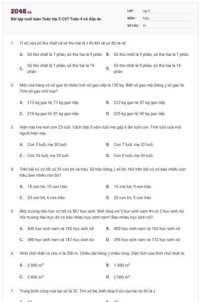 Bài tập cuối tuần Toán lớp 5 CST Tuần 4 có đáp án