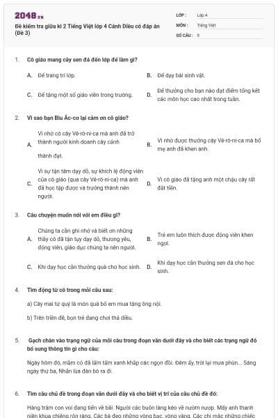 Đề kiểm tra giữa kì 2 Tiếng Việt lớp 4 Cánh Diều có đáp án (Đề 3)