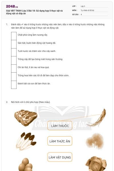 Giải VBT TNXH Lớp 3 Bài 18: Sử dụng hợp lí thực vật và động vật có đáp án