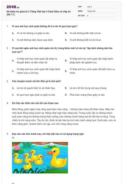 Đề kiểm tra giữa kì 2 Tiếng Việt lớp 4 Cánh Diều có đáp án (Đề 11)
