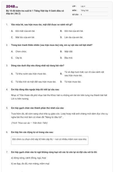 Bộ 10 đề kiểm tra cuối kì 1 Tiếng Việt lớp 4 Cánh diều có đáp án ( Đề 2)