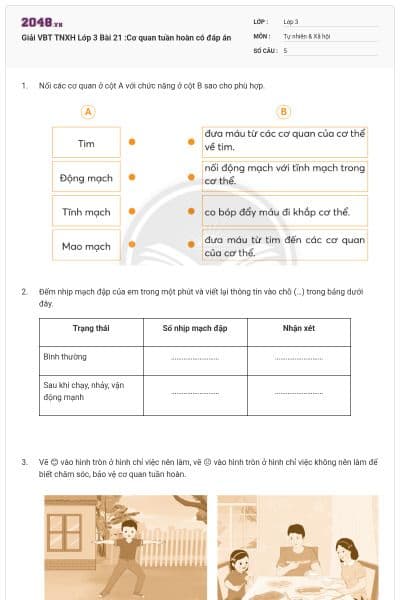 Giải VBT TNXH Lớp 3 Bài 21 :Cơ quan tuần hoàn có đáp án