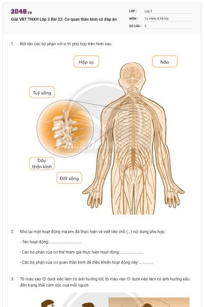 Giải VBT TNXH Lớp 3 Bài 22: Cơ quan thần kinh có đáp án