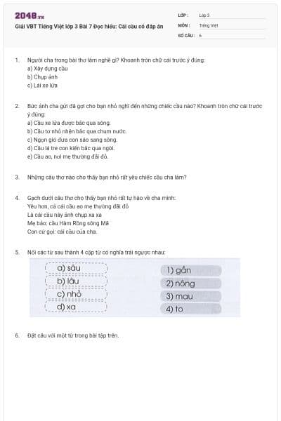 Giải VBT Tiếng Việt lớp 3 Bài 7 Đọc hiểu: Cái cầu có đáp án