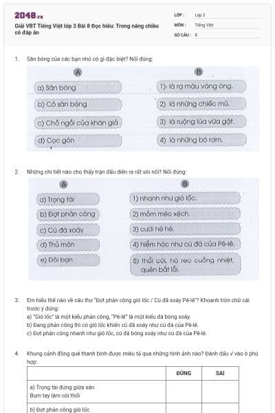 Giải VBT Tiếng Việt lớp 3 Bài 8 Đọc hiểu: Trong nắng chiều có đáp án