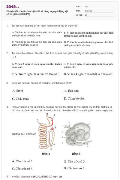 Chuyên đề chuyển hóa vật chất và năng lượng ở động vật có lời giải chi tiết (P3)