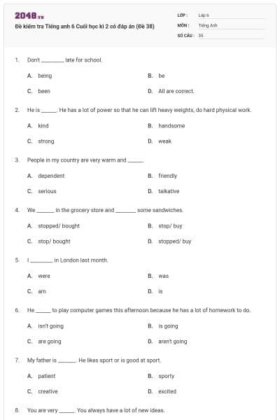 Đề kiểm tra Tiếng anh 6 Cuối học kì 2 có đáp án (Đề 38)