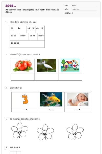 Bài tập cuối tuần Tiếng Việt lớp 1 Kết nối tri thức Tuần 2 có đáp án