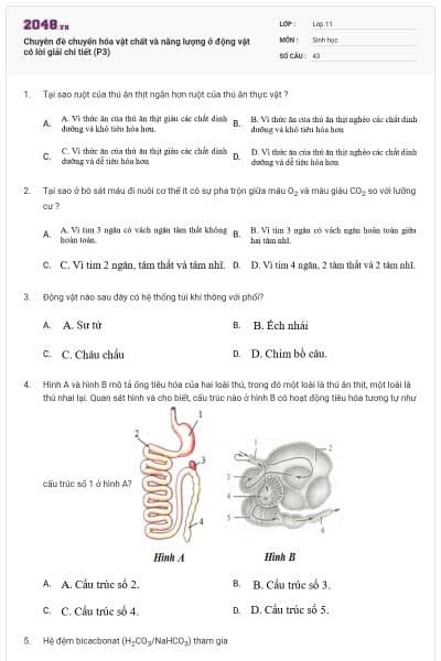 Chuyên đề chuyển hóa vật chất và năng lượng ở động vật có lời giải chi tiết (P3)