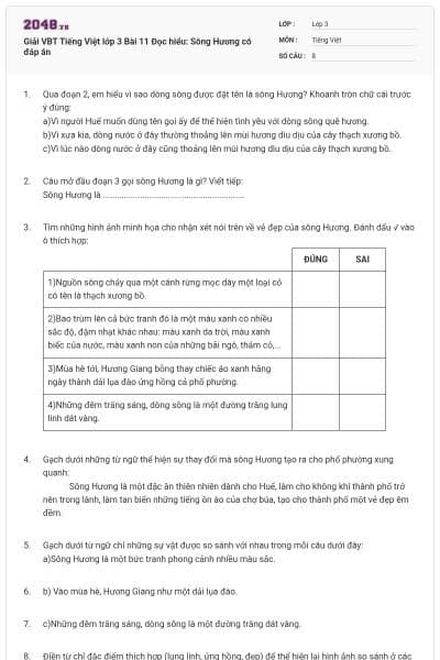 Giải VBT Tiếng Việt lớp 3 Bài 11 Đọc hiểu: Sông Hương có đáp án