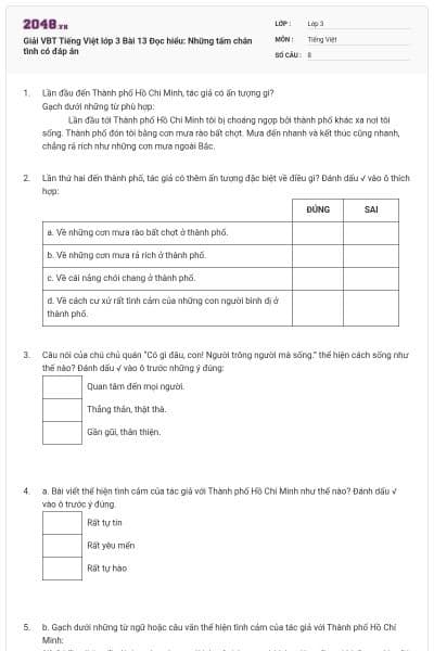 Giải VBT Tiếng Việt lớp 3 Bài 13 Đọc hiểu: Những tấm chân tình có đáp án