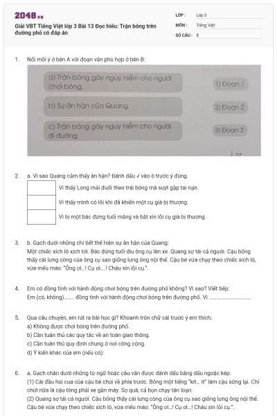 Giải VBT Tiếng Việt lớp 3 Bài 13 Đọc hiểu: Trận bóng trên đường phố có đáp án