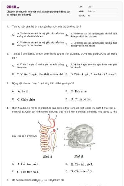 Chuyên đề chuyển hóa vật chất và năng lượng ở động vật có lời giải chi tiết (P3)
