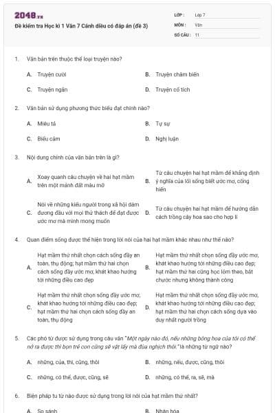 Đề kiểm tra Học kì 1 Văn 7 Cánh diều có đáp án (đề 3)