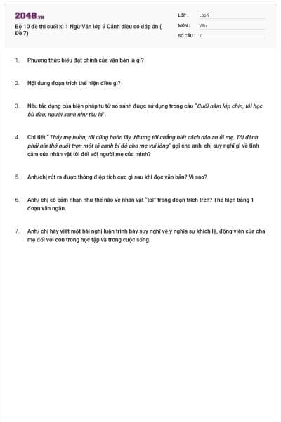Bộ 10 đề thi cuối kì 1 Ngữ Văn lớp 9 Cánh diều có đáp án ( Đề 7)