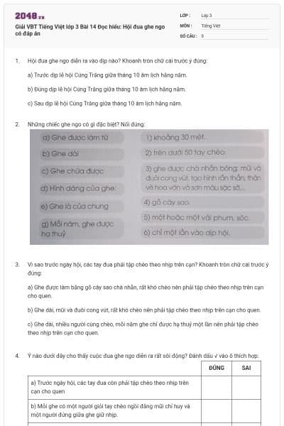 Giải VBT Tiếng Việt lớp 3 Bài 14 Đọc hiểu: Hội đua ghe ngo có đáp án