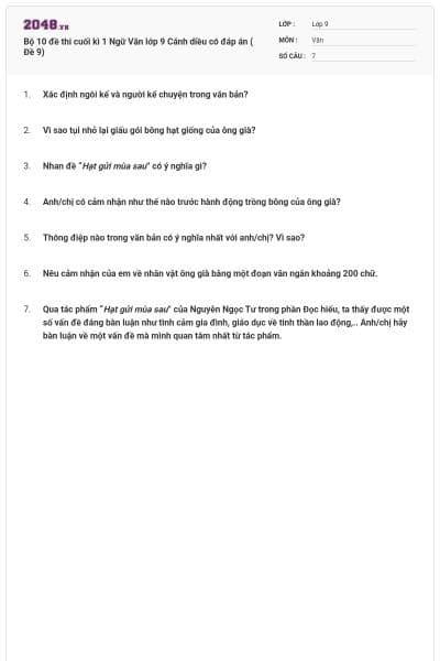 Bộ 10 đề thi cuối kì 1 Ngữ Văn lớp 9 Cánh diều có đáp án ( Đề 9)