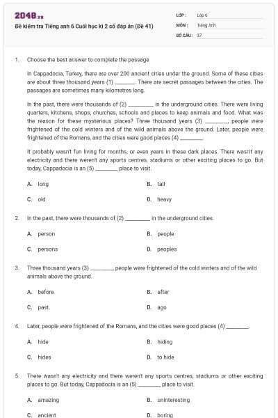 Đề kiểm tra Tiếng anh 6 Cuối học kì 2 có đáp án (Đề 41)
