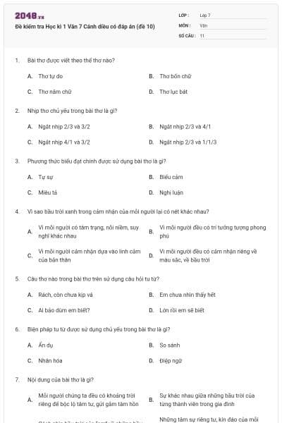Đề kiểm tra Học kì 1 Văn 7 Cánh diều có đáp án (đề 10)