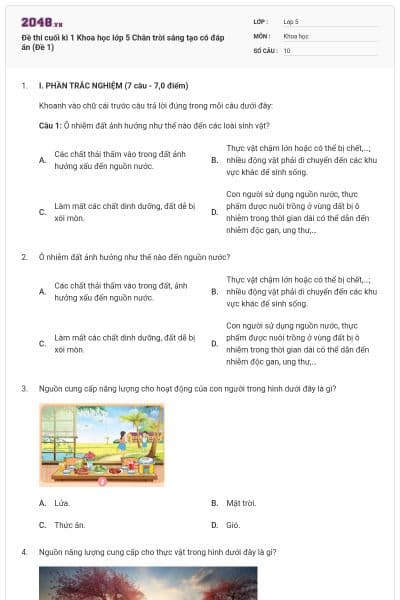 Đề thi cuối kì 1 Khoa học lớp 5 Chân trời sáng tạo có đáp án (Đề 1)